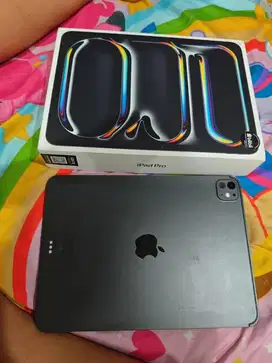Ipad pro m4 256 gb wifi only