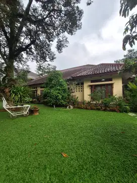 Dijual butuh rumah di baranangsiang indah bogor 14 M, LT 1270 LB 250