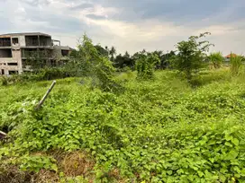 Dijual tanah lokasi cemagi dekat Canggu