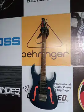 Guitar Model Pgm Made in Korea
