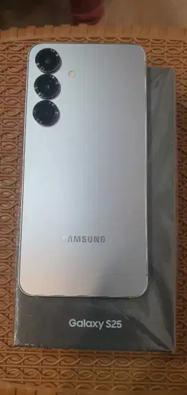 SAMSUNG S25 12/256