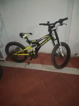 Sepeda anak ban besar