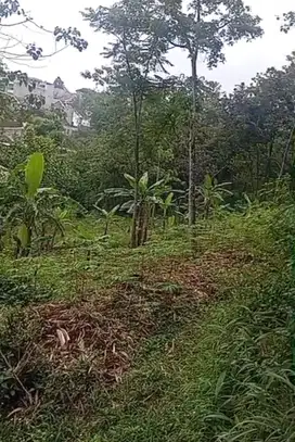 Tanah 15 tumbak, dkt smp 3 Cileunyi, masuk mobil