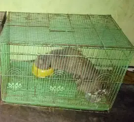 Kandang Besi Hijau