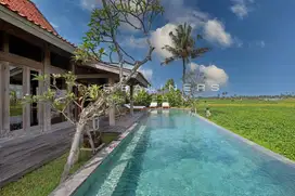 ELEGANT FREEHOLD VILLA WITH STUNNING RICE FIELD VIEWS IN NYANYI