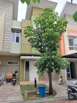 Rumah Murah 2 Lantai Unfurnished Cluster Arcadia Gading Serpong