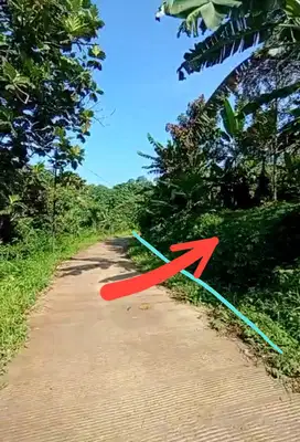 Tanah MURAH 2000m² SHM Cariu Jonggol Cileungsi Bogor timur