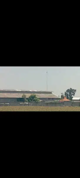 Lahan usaha pabrik Kertas 3,3 HA harga 30 Milyar di Kesamben, Jombang