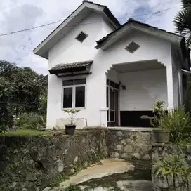 rumah murah cijambe lt205 600 jutaan jarang ada