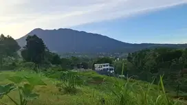 Tanah Best View Luas 697M2 Dekat Taman Safari Puncak