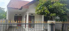 Disewakan Cepat Rumah Bagus Luas SHM di Pamulang