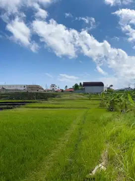 Dijual Tanah 15 are Lokasi Canggu