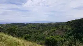 Jual Cepat Tanah view Ocean dan view Ubud di Nusa Penida