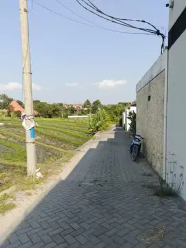 tanah luas 15 are dan boleh ambil 5 are di berawa canggu