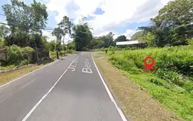 Dijual Tanah Jalan Utama Raya Baturiti