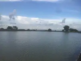 Di jual lahan empang di tanam ikan bandeng  di serang Banten