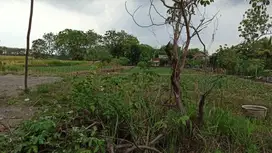 2.3jt/m TANAH INDUSTRI MURAHHH POLL JLN MAYJEN SUNGKONO GRESIK