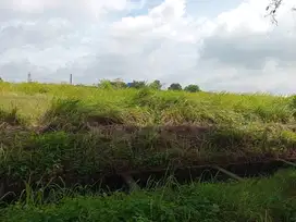 Tanah Kawasan Industri Modern Cikande 10ha boleh ambil 2ha