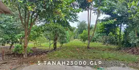 Jual lahan luas pinggir jalan dekat kota strategis subur prospektif