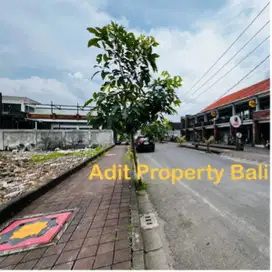 Tanah dewi sri Kuta bali