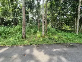 Tanah di jual Nangsri prambanan Klaten