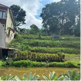 Tanah strategis cisarua puncak bogor shm