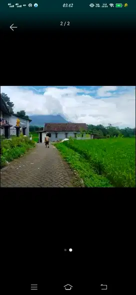 Tanah prigen arah cimory luas 3065meter deket pemukiman view gunung