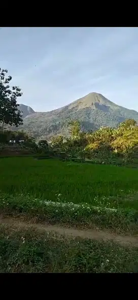 Trawas murah luas 2400meter view gunung cocok buat villa atau cafe