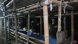 Jual tanah ciledug tangerang banten