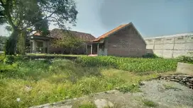 TANAH LUAS DAN MURAH, LOKASI STRATEGIS MENGANTI GRESIK