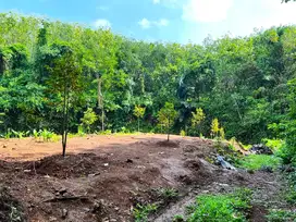 Tanah Kebun Durian 200 Juta Dekat Sungai Karanganyar