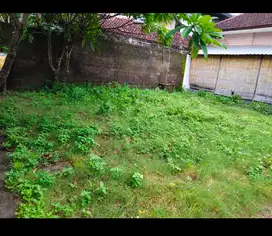 JUAL TANAH BUNUS RUMH KUTA luas 2,7are Rp 3M global