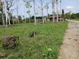 Jual cepat Tanah di Kota Sorong kilo 14  cuma 200 meter dari jln.Utama
