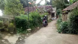 Tanah Pekarangan Ngadirejo Jabung Malang
