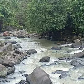 di jual tanah zona kuning view sawah los sungai besar