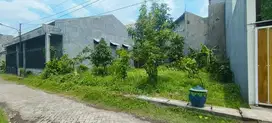 ‼️JUAL CEPAT‼️TANAH DI SEMAMPIR HANYA 700 Mtr KE jl raya  merr