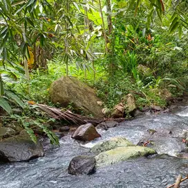 Di jual tanah zona kuning los sungai di kawasan villa