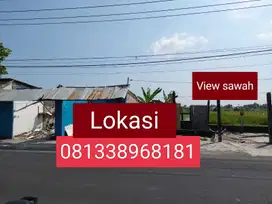Sale tanah sttategis 1250m2 view sawah raya kedampang kerobokan jl8mtr