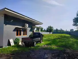 Dijual Tanah Kunir ( Karanglo ) Lumajang