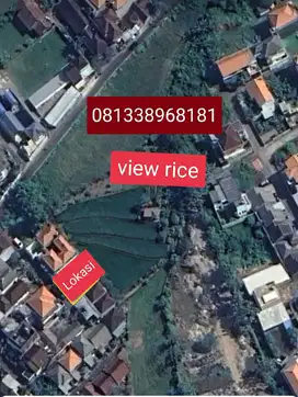 Rent land villa area 2are view rice zona yellow padonan near canggu