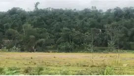 Jual Tanah dikawasan industri Millenium Tigaraksa - Tangerang, Banten