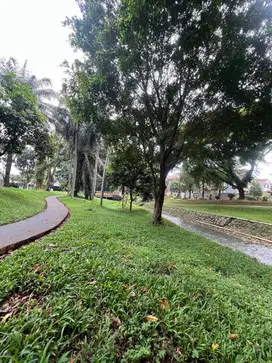 Rumah Alam Dikelilingi Taman Asri Mewah Puspita Loka BSD city