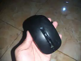 Mouse wireles Rexus Q20