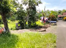 Dijual Tanah di Sedayu, Bantul