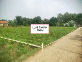 Di Jual Sebidang Tanah Posisi Tanah Rata dan per segi