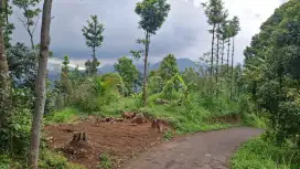 Tanah untuk villa kebun investasi sangat strategis view lepas gunung