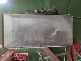 Kaca Aquarium Arwana
