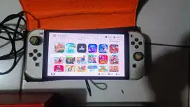 Nintendo Switch Oled CF*W 512gb