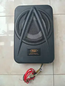 Subwoofer kolong Rodex 10 inc