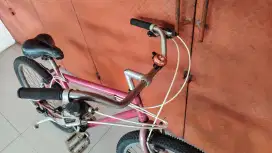 sepeda vintage muddy fox